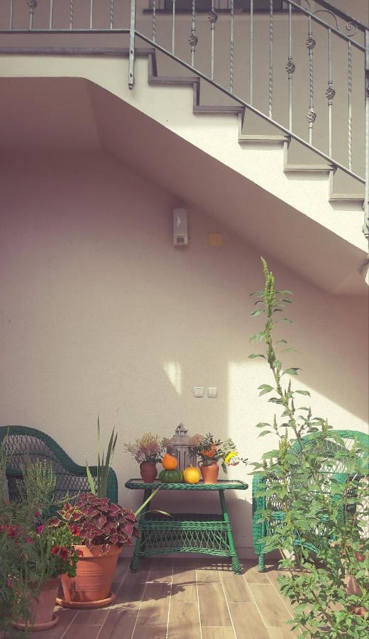 Prenocisca Angelin Hram, Tiny Apartments Markovec Ngoại thất bức ảnh